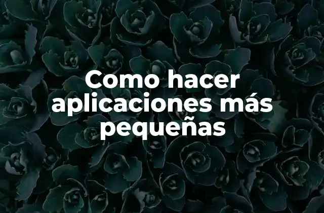 Como Hacer Aplicaciones Más Pequeñas