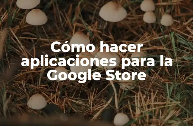 Cómo Hacer Aplicaciones para la Google Store 2 ¿Qué es una aplicación para la Google Store?