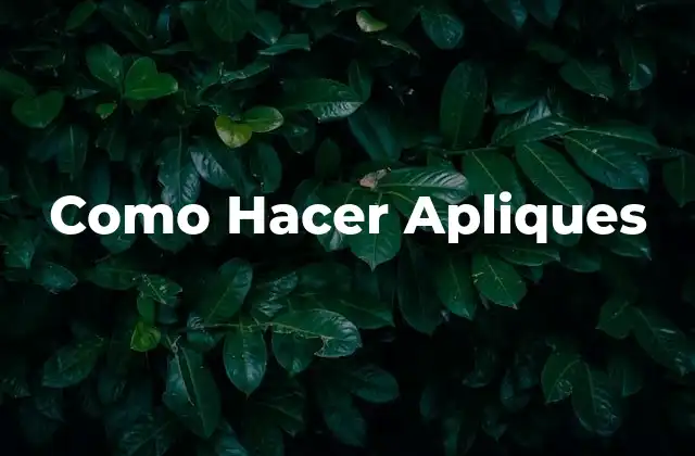 Como Hacer Apliques 2 ¿Qué son los Apliques?