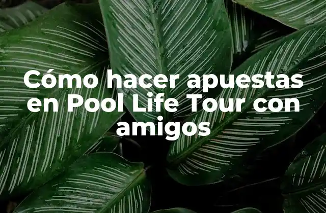 Cómo Hacer Apuestas en Pool Life Tour con Amigos
