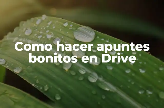 Como Hacer Apuntes Bonitos en Drive