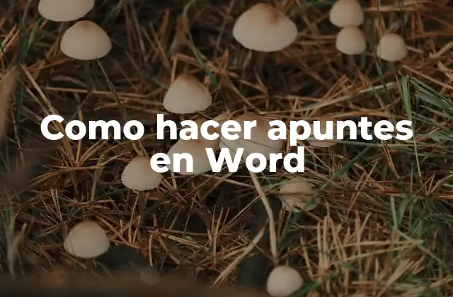 Como Hacer Apuntes en Word