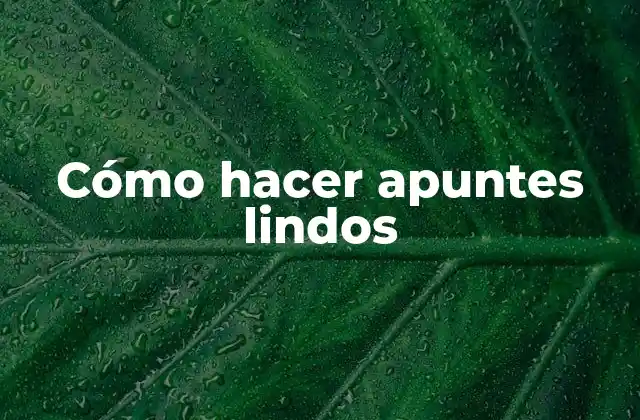 Cómo Hacer Apuntes Lindos