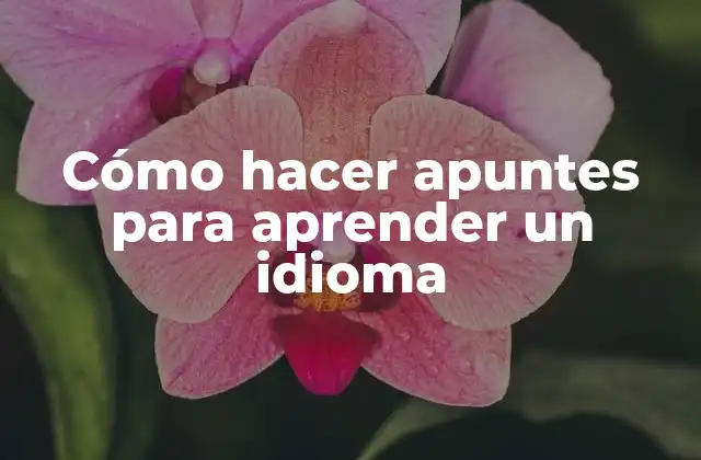 Cómo hacer apuntes para aprender un idioma