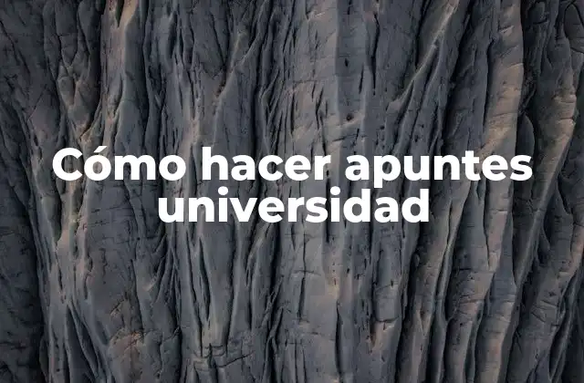 Cómo Hacer Apuntes Universidad