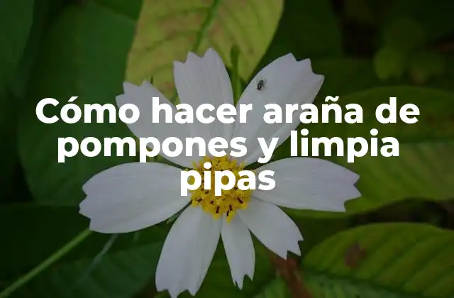 Cómo Hacer Araña de Pompones y Limpia Pipas