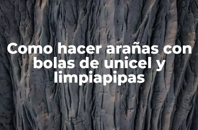 Como Hacer Arañas con Bolas de Unicel y Limpiapipas