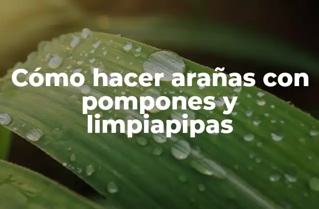 Cómo Hacer Arañas con Pompones y Limpiapipas