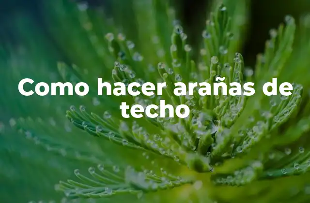 Como Hacer Arañas de Techo
