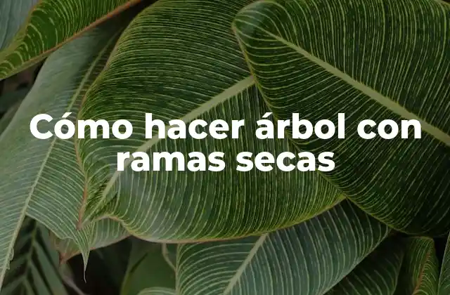 Cómo Hacer Árbol con Ramas Secas 2 Cómo hacer árbol con ramas secas