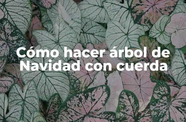 Cómo Hacer Árbol de Navidad con Cuerda