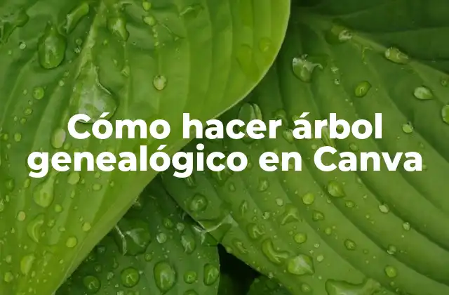 Cómo Hacer Árbol Genealógico en Canva