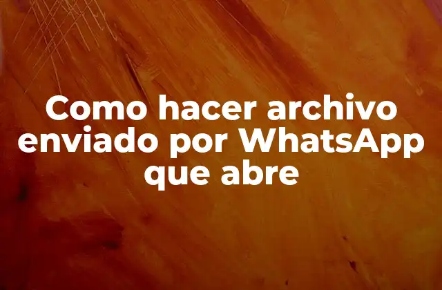 Como Hacer Archivo Enviado por Whatsapp que Abre