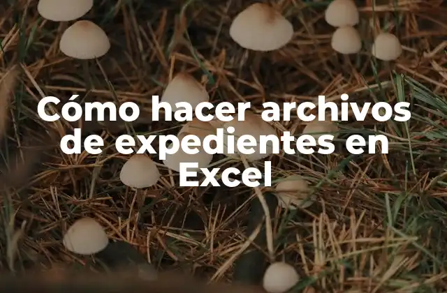 Cómo Hacer Archivos de Expedientes en Excel
