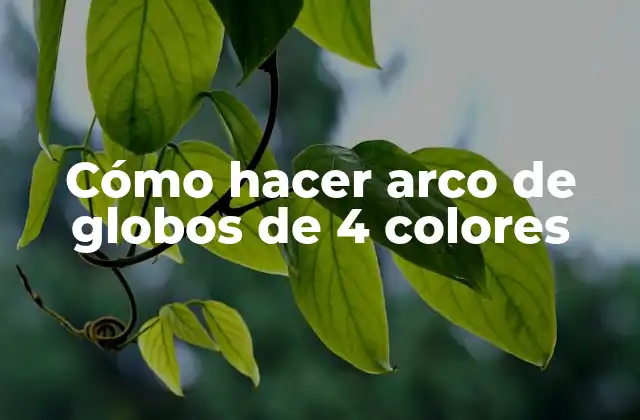Cómo Hacer Arco de Globos de 4 Colores