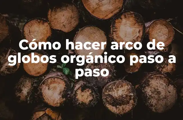 Cómo Hacer Arco de Globos Orgánico Paso a Paso
