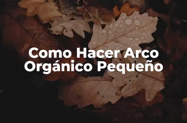 Como Hacer Arco Orgánico Pequeño
