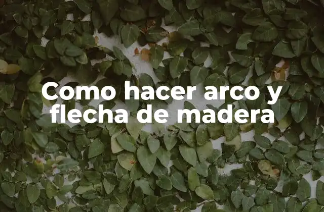 Como Hacer Arco y Flecha de Madera 2 Como hacer arco y flecha de madera