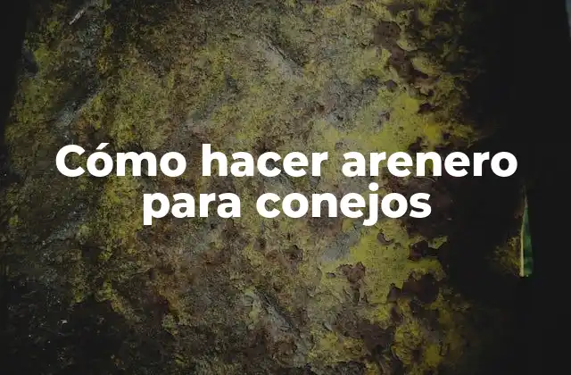 Cómo Hacer Arenero para Conejos 2 ¿Qué es un arenero para conejos y para qué sirve?