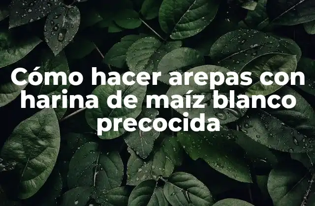Cómo Hacer Arepas con Harina de Maíz Blanco Precocida