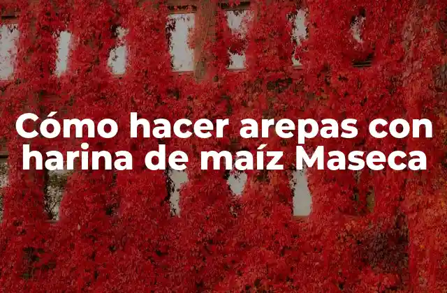 Cómo Hacer Arepas con Harina de Maíz Maseca