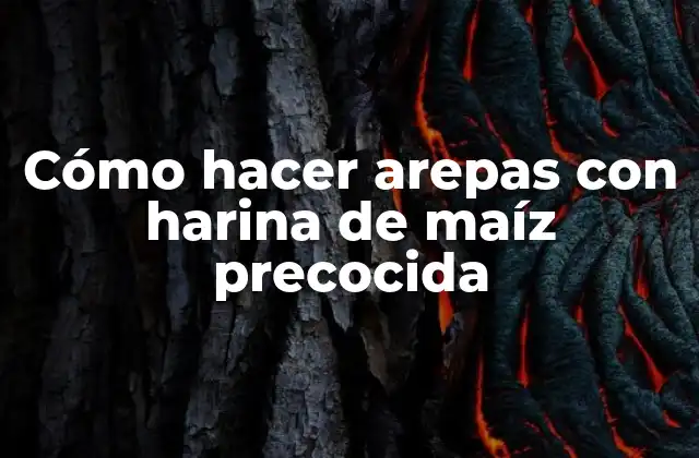 Cómo Hacer Arepas con Harina de Maíz Precocida