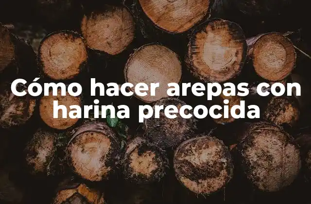 Cómo Hacer Arepas con Harina Precocida 2 ¿Qué son las arepas con harina precocida?