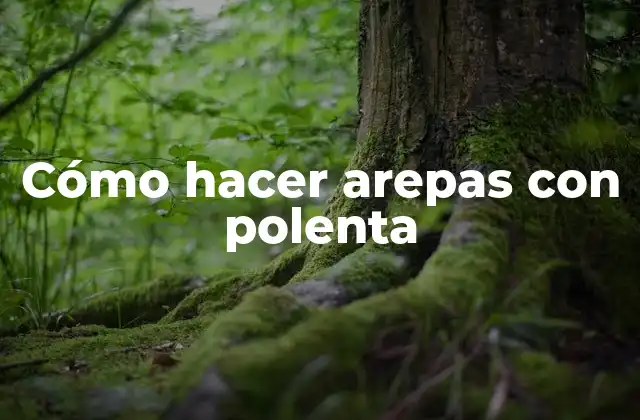 Cómo Hacer Arepas con Polenta