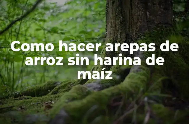 Como Hacer Arepas de Arroz sin Harina de Maíz