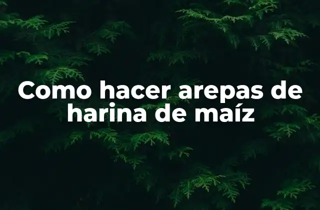 ¿Qué son las arepas de harina de maíz?