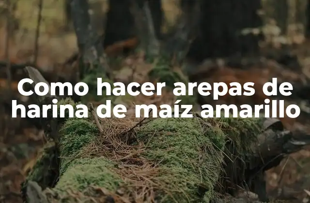 Como Hacer Arepas de Harina de Maíz Amarillo