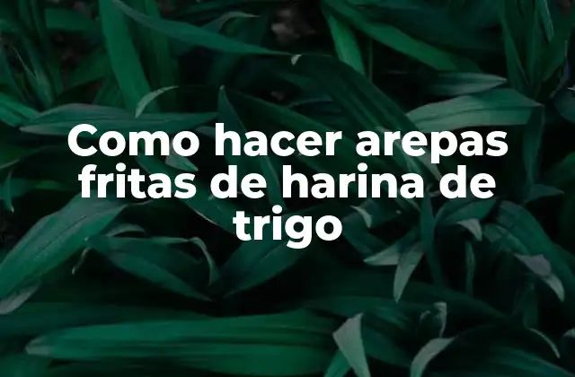 Como Hacer Arepas Fritas de Harina de Trigo