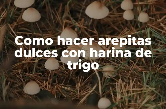 Como Hacer Arepitas Dulces con Harina de Trigo