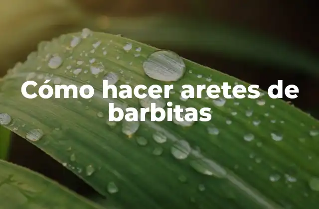 Cómo Hacer Aretes de Barbitas