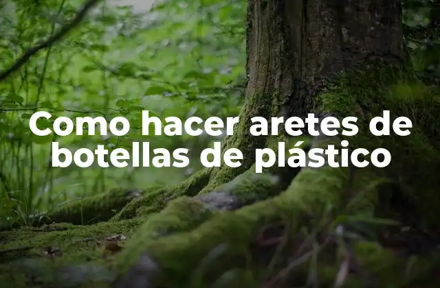 ¿Qué son aretes de botellas de plástico?