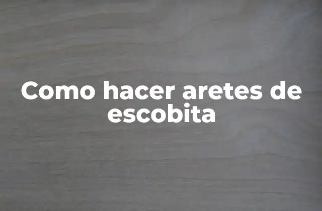 Como Hacer Aretes de Escobita