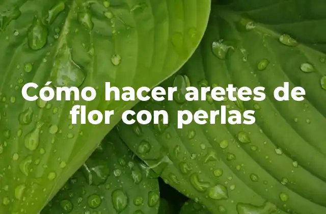 Cómo Hacer Aretes de Flor con Perlas