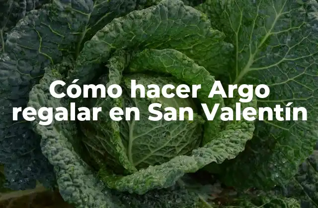 Cómo Hacer Argo Regalar en San Valentín
