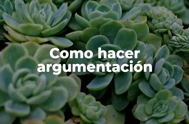 Como Hacer Argumentación