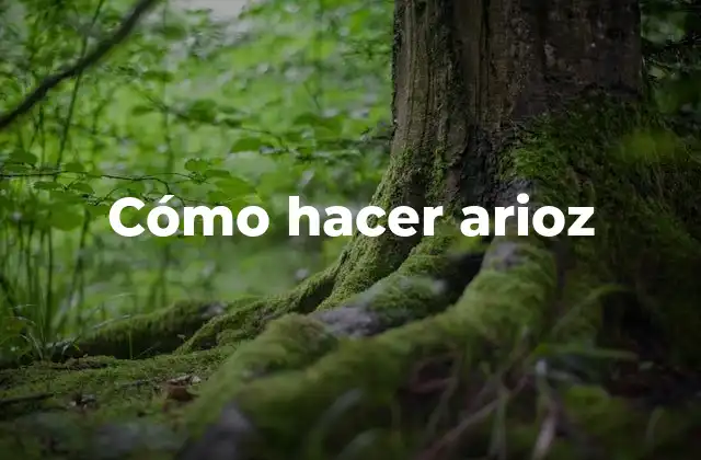 Cómo Hacer Arioz