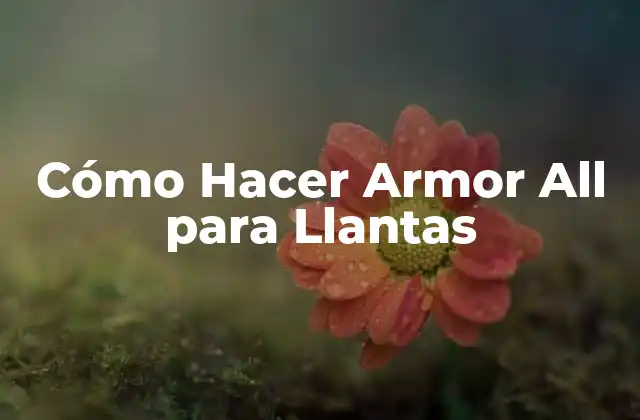 Cómo Hacer Armor All para Llantas