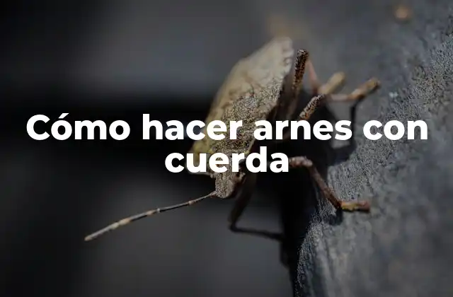 Cómo Hacer Arnes con Cuerda
