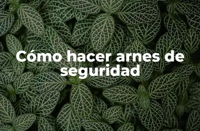 Cómo Hacer Arnes de Seguridad 2 Cómo hacer arnes de seguridad