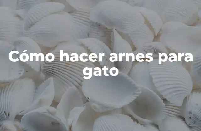 Cómo hacer arnes para gato
