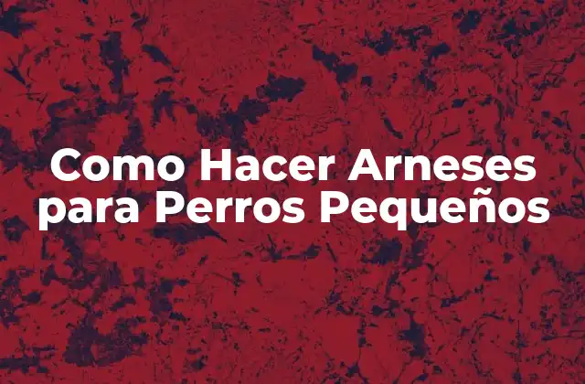 Como Hacer Arneses para Perros Pequeños