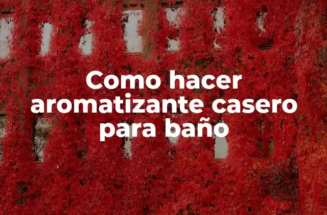 Como Hacer Aromatizante Casero para Baño
