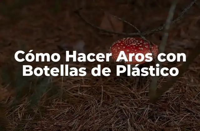 Cómo Hacer Aros con Botellas de Plástico