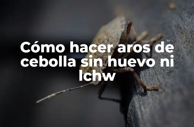 Cómo Hacer Aros de Cebolla sin Huevo ni Lchw