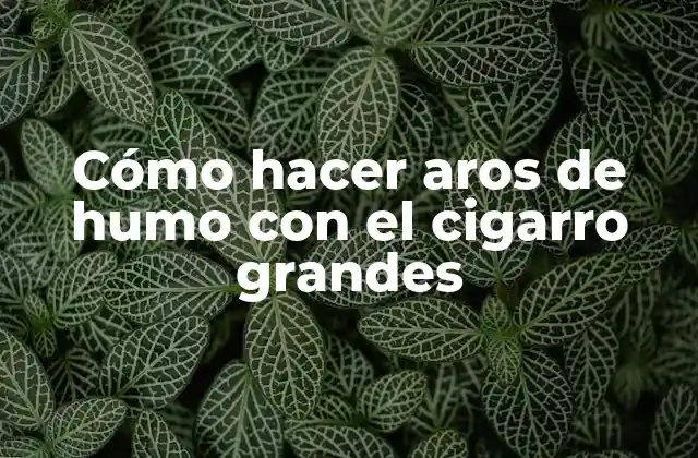 Cómo Hacer Aros de Humo con el Cigarro Grandes