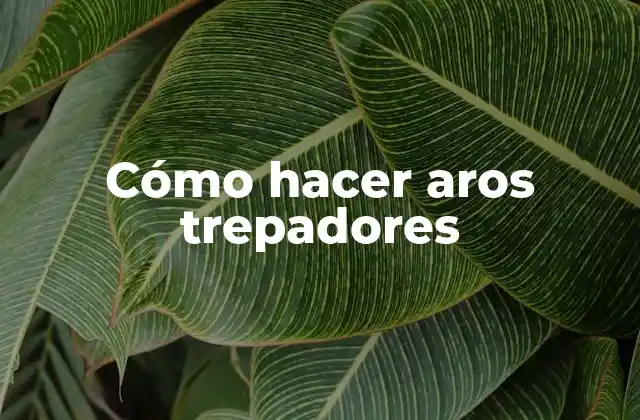 Cómo Hacer Aros Trepadores